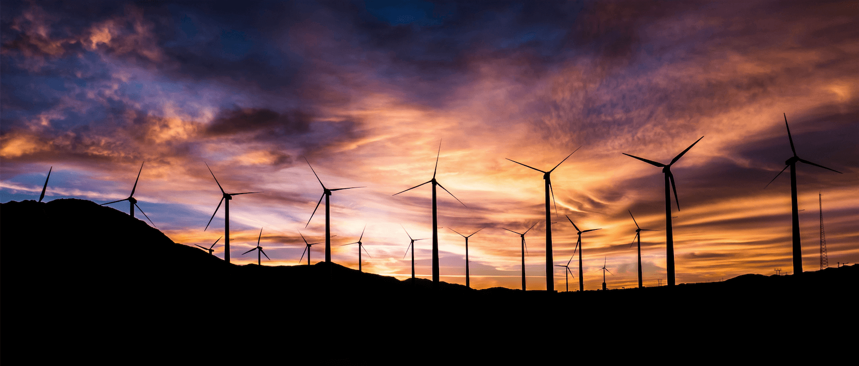landscape of wind farm at sunset
