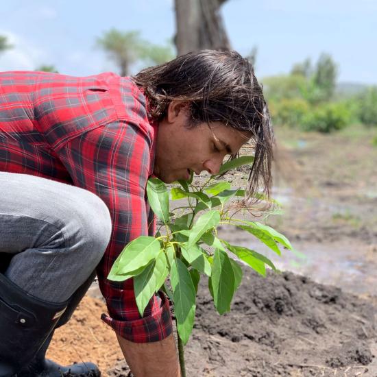 Fabio planting trees