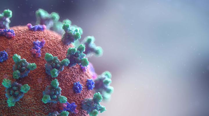 Coronavirus Photo by Fusion Medical Animation on Unsplash